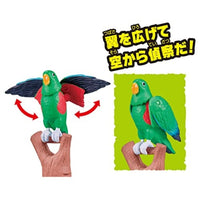 冒険大陸 アニアキングダム エディ(オオハナインコ)